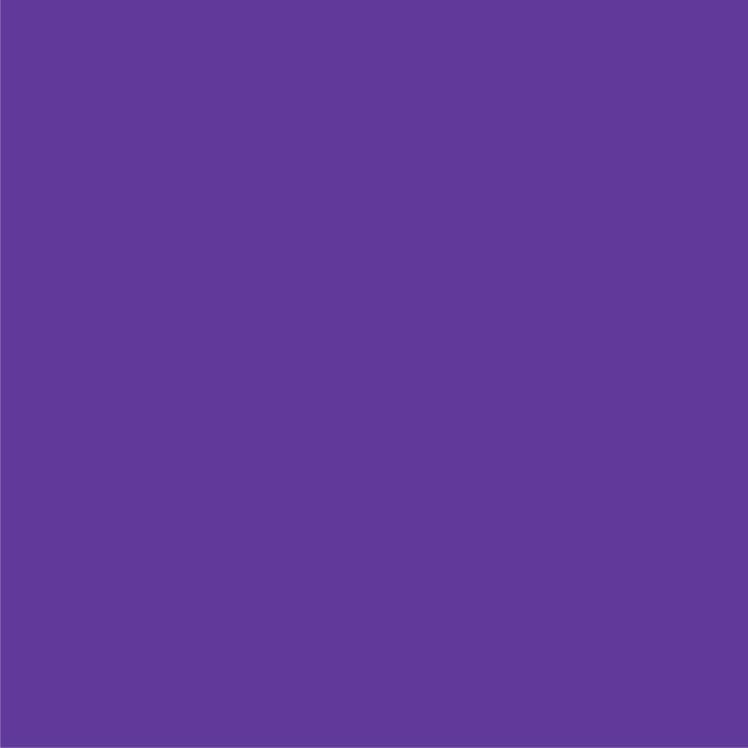 紫/淺灰